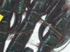 (商品画像) アウトレット　BYS CRAW3.5"　156Bジュンバグ/GR
