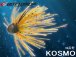 (商品画像) KOSMO(コスモ)