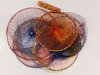 (商品画像) 国産　天然枠　万力付き（てんねんわく　まんりきつき）　へらフラシ　23b