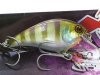 (商品画像) ジャッカル-アスカ45SR　ブルーギル」