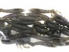 (商品画像) メガバス　ボトルシュリンプ2.4"　ヌマエビ