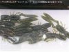 (商品画像) メガバス　ボトルシュリンプ2.4"　ウォーターメロンシード