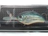 (商品画像) OSP　ブリッツMR　H-03アメリカンサンフィッシュ