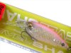 (商品画像) レイドジャパン LEVEL SHAD（レベルシャッド）　LSD022 SKELETON CANDY(スケルトンキャンディー)