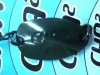 (商品画像) ロデオクラフト　チャチャ　2.2g　12