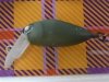 (商品画像) ロデオクラフト　モカプチSR　ダークオリーブ