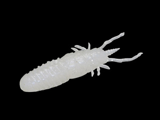 (商品画像) ジャッカル　ワムワム48 　セクシーアルビノ