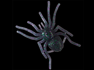 (商品画像) ガンクラフト　BIG SPIDER ビックスパイダー　[＃10　ジュンバグ]