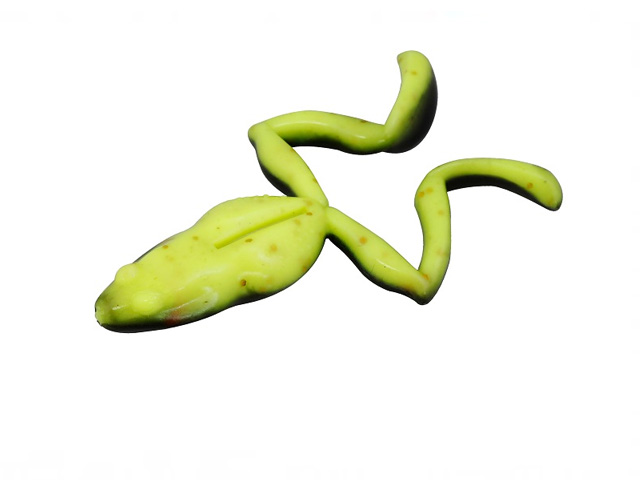 (商品画像) ジャッカル　Clone Frog（クローンフロッグ）　ヤドクガエル