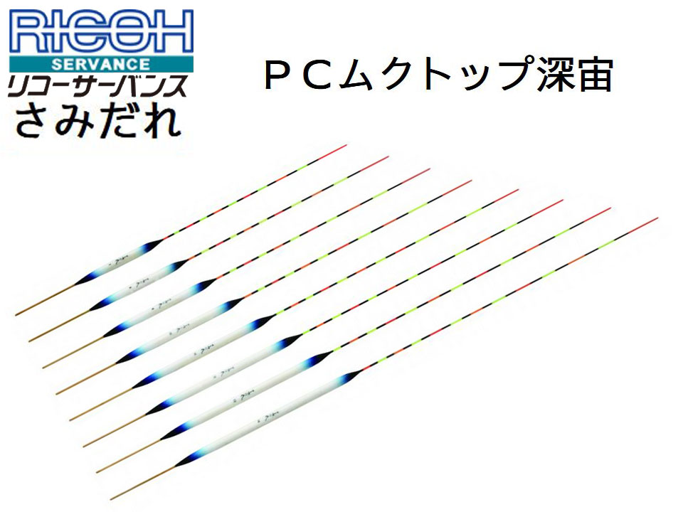 (商品画像) リコーサーバンス　さみだれ　PCトップ　深宙　#8