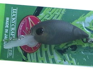 (商品画像) ラッキークラフト　マイクロクラピー　DR　クロコ