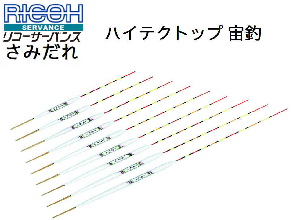 (商品画像) リコーサーバンス　さみだれ　ハイテクトップ　宙釣　#17